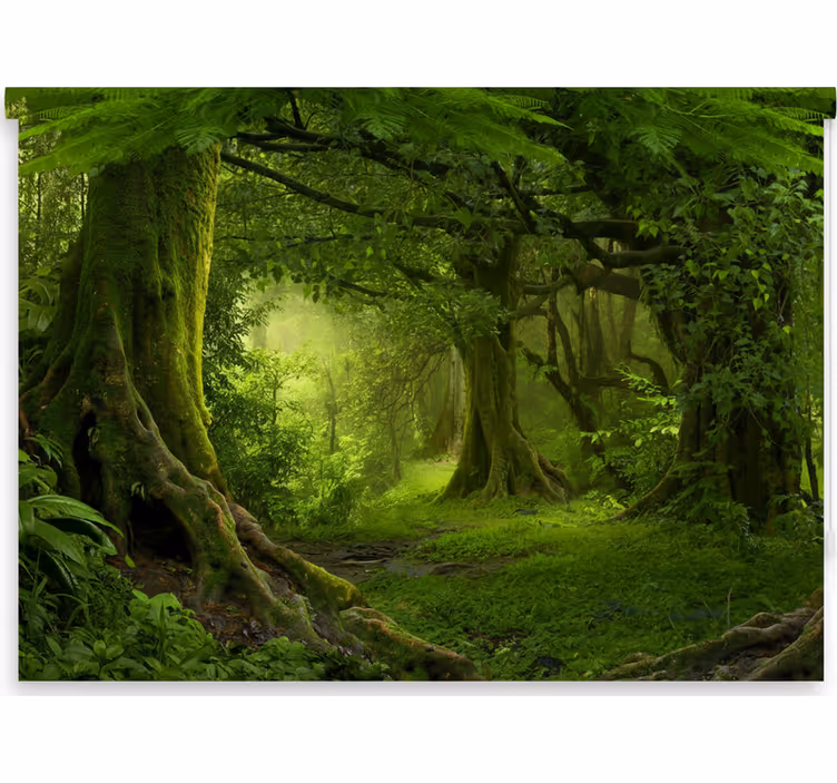 Rulou geam copaci evadare în pădure luxuriantă - TenStickers