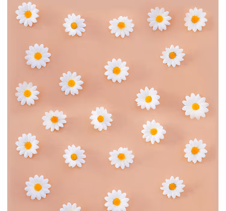 Rulou geam cantină model modern cu margarete - TenStickers