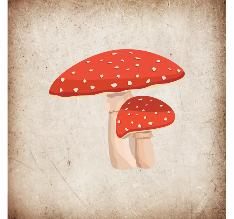 Rulou geam bucătărie ilustrație ciupercă amanita - TenStickers