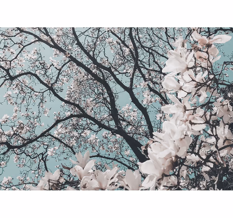 Rulou geam salon stil elegant floare de cireș japoneză - TenStickers