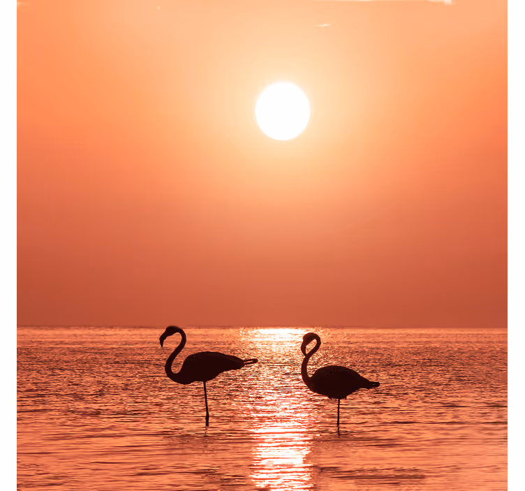 Rulou geam salon flamingo drăguț la apus - TenStickers