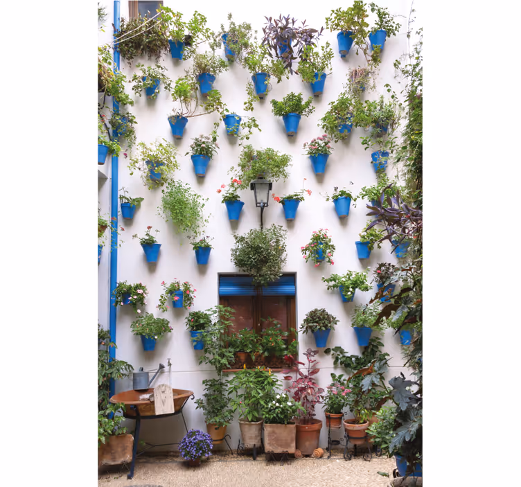Rulou geam salon patio andaluz - TenStickers