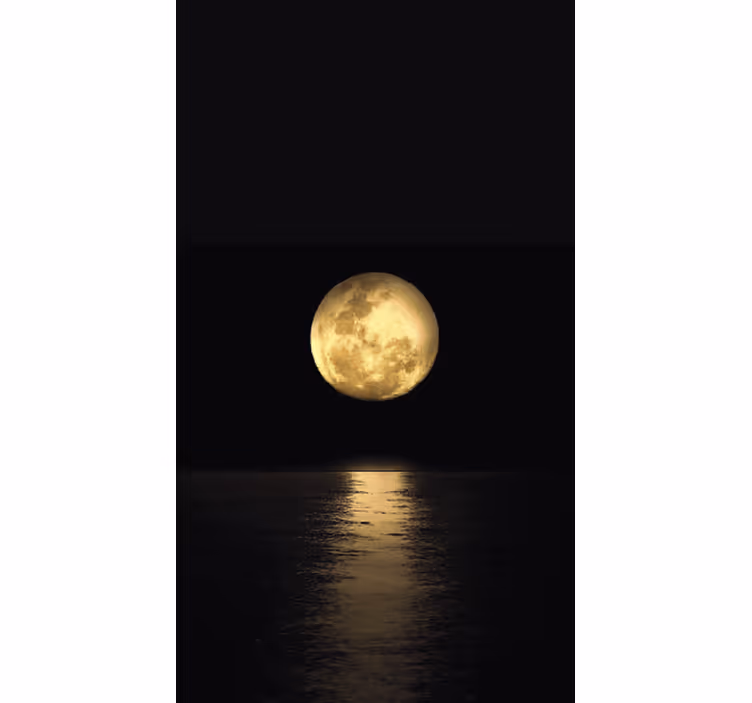 Rulou geam negru lumina de aur a lunii - TenStickers