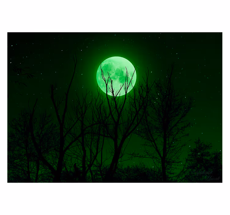 Rulou geam negru lună verde - TenStickers