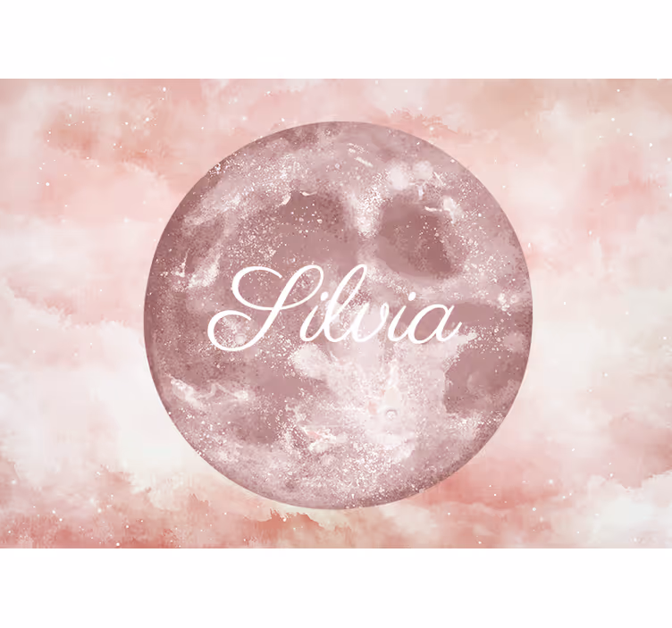 Rulou geam roz lună cu nume - TenStickers