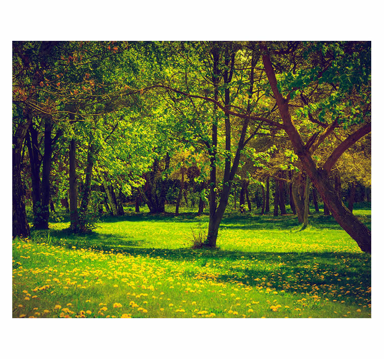Rulou geam verde priveliște liniștită a pădurii - TenStickers