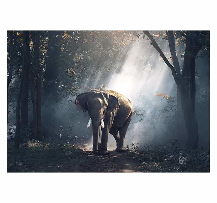 Rulou geam salon elefant în pădure - TenStickers