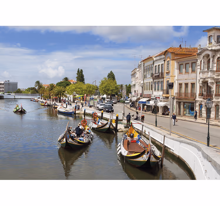 Rulou geam salon aveiro molițeiro - TenStickers