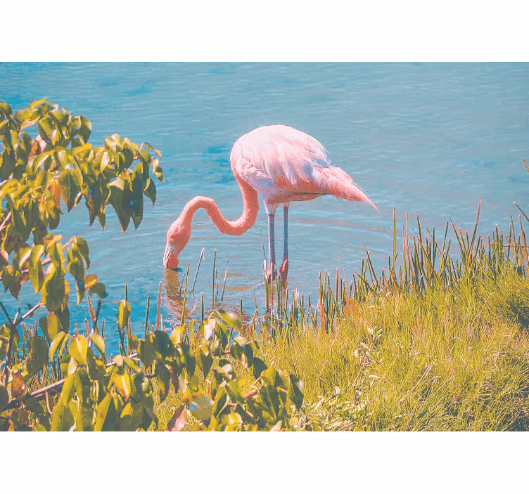 Rulou geam salon flamingo frumos lângă apă - TenStickers