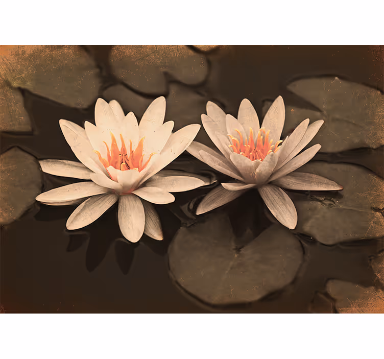 Rulou geam salon lotus vintage - TenStickers