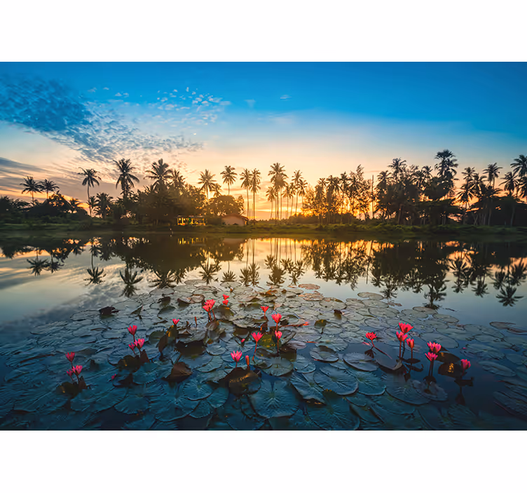 Rulou geam salon floare de lotus la apus - TenStickers