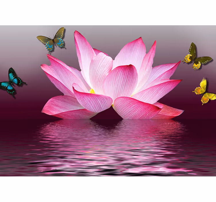Rulou geam salon floare de lotus roz cu fluturi - TenStickers