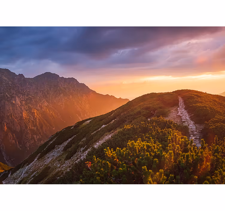 Rulou geam salon muntii noaptea din zakopane - TenStickers