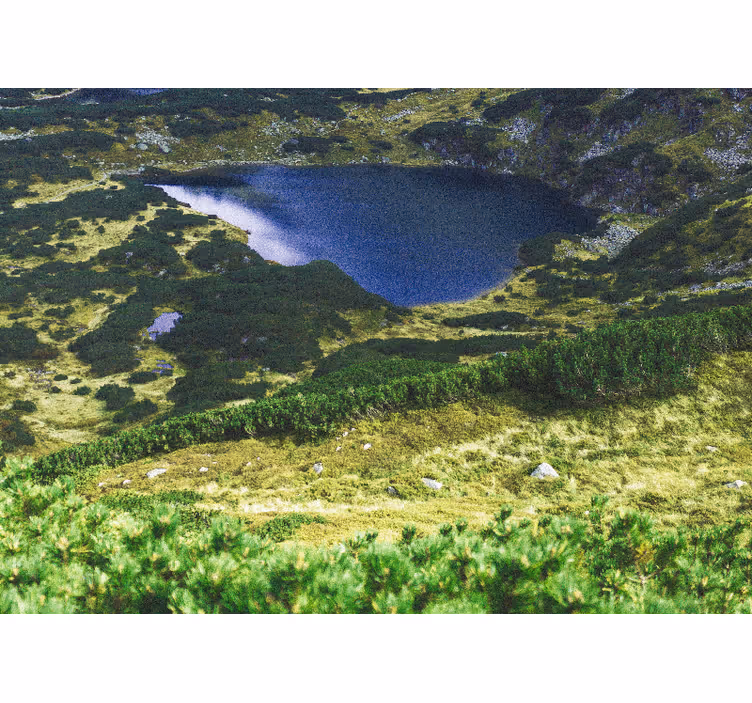Rulou geam salon verde tatry poloneze - TenStickers