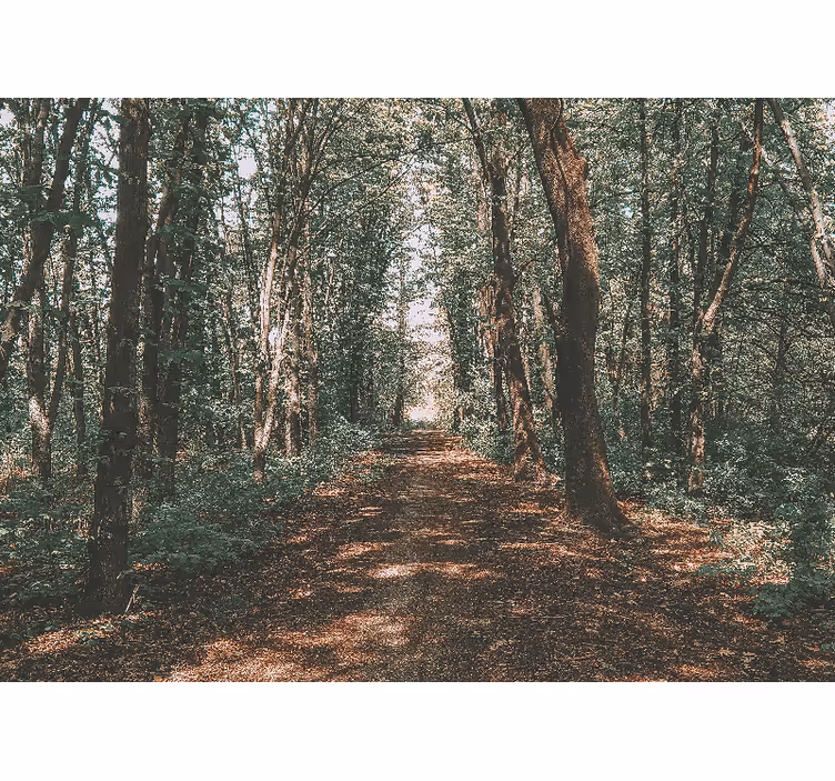Rulou geam salon fotografie pădure verde și maronie - TenStickers