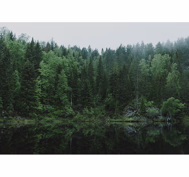Rulou geam salon pădure lângă lac - TenStickers