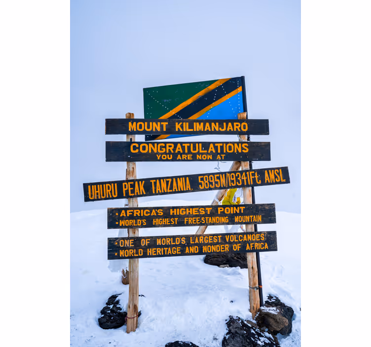 Rulou geam salon semn kilimanjaro - TenStickers
