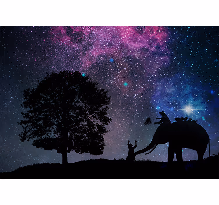 Rulou geam salon noapte stelată elefant - TenStickers