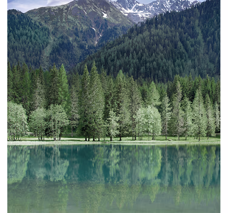 Rulou geam salon lac verde frumos din natură - TenStickers