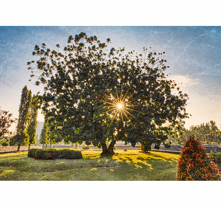 Rulou geam salon parc verde de vară însorit - TenStickers