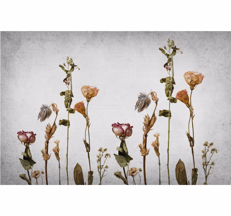 Rulou geam salon plante uscate stil scandinav - TenStickers