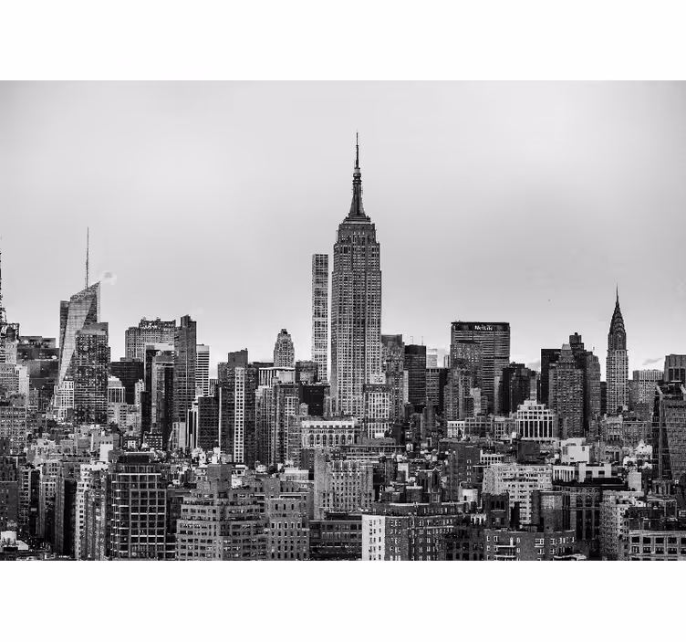 Rulou geam salon imagine new york city alb-negru - TenStickers