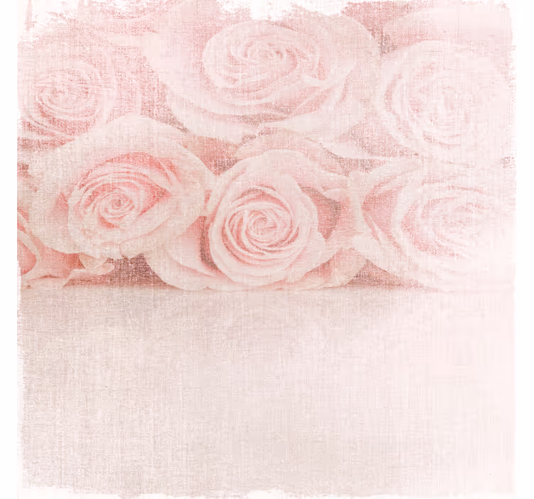 Rulou geam salon trandafiri roz deschis stil shabby chic - TenStickers