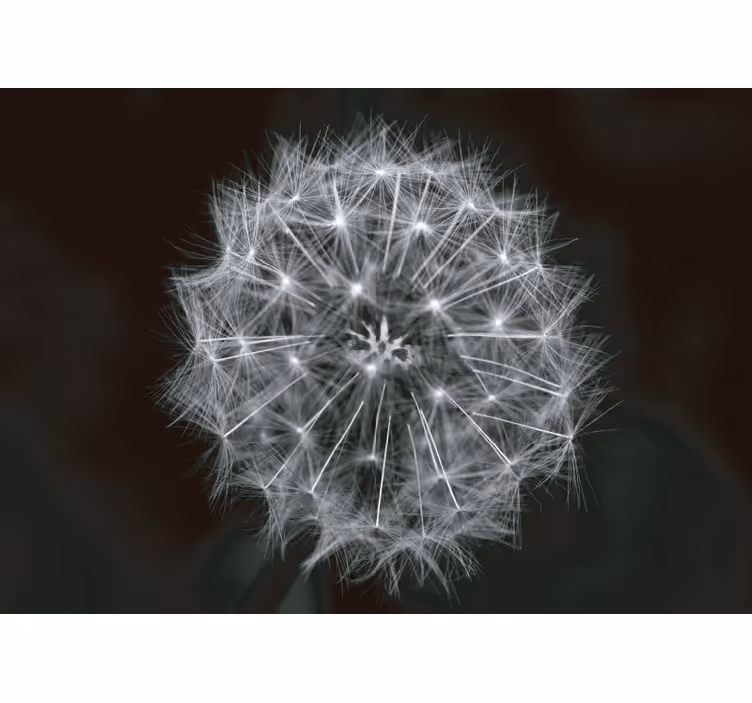 Rulou geam gri floare puf gri - TenStickers