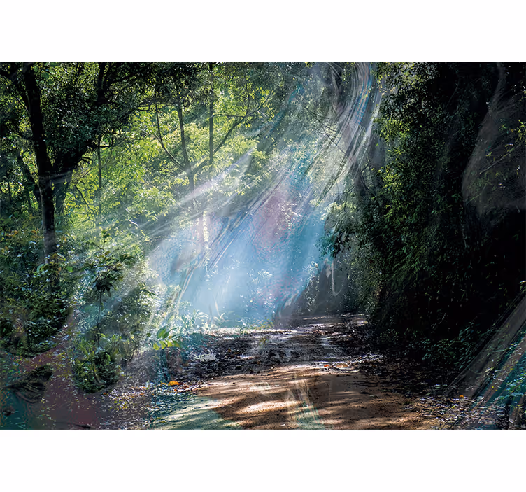 Rulou geam cameră fotomural 3d efect adâncime pădure - TenStickers
