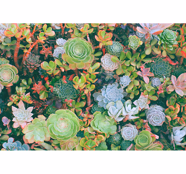 Rulou geam cameră frunze subțiri tropicale multicolore - TenStickers