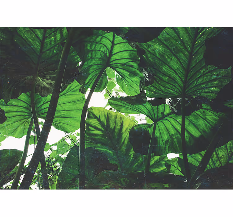 Rulou geam cameră design frumos pădure tropicală verde - TenStickers