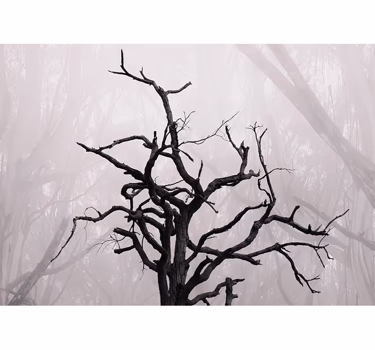 Rulou geam cameră ramuri de pădure în ceață - TenStickers