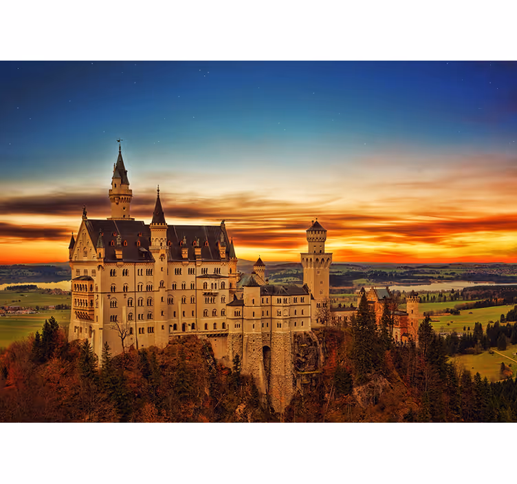 Rulou geam cameră castel în poiana dimineții - TenStickers