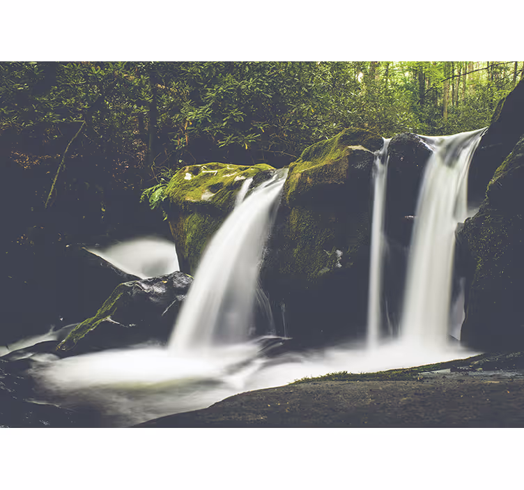 Rulou geam cameră cascadă natură pădure - TenStickers
