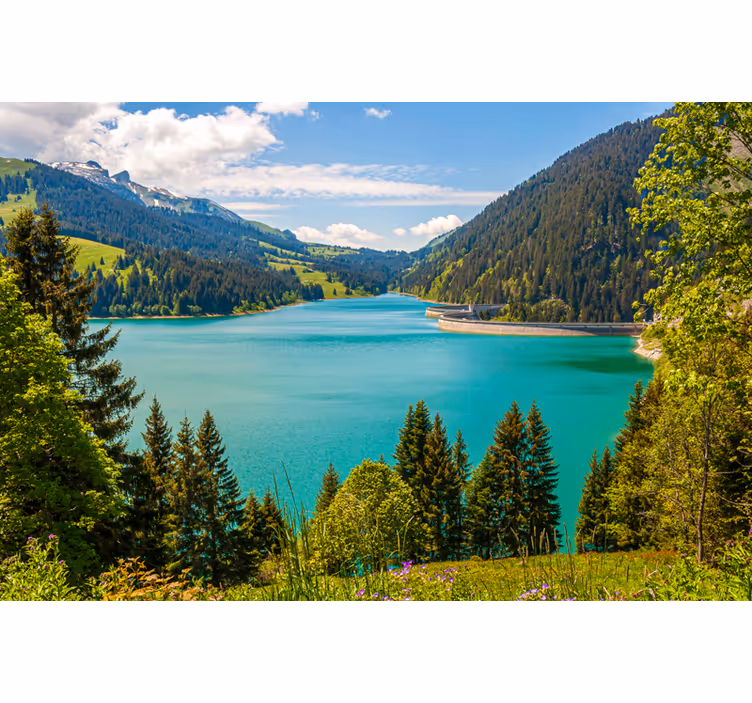 Rulou geam salon lago longrin - TenStickers
