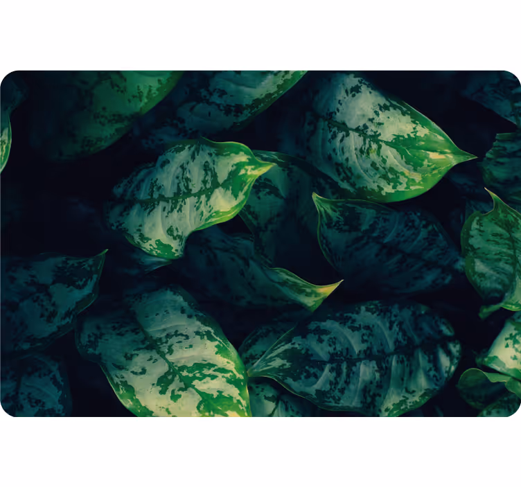 Rulou geam cameră frunze de maranta - TenStickers