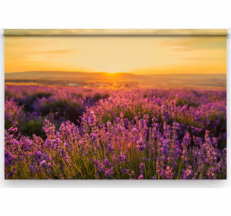 Rulou geam cameră panoramic provence - TenStickers