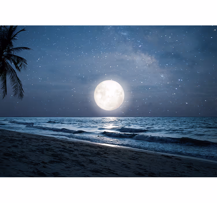 Rulou geam cameră lumina frumoasă a lunii peste ocean - TenStickers