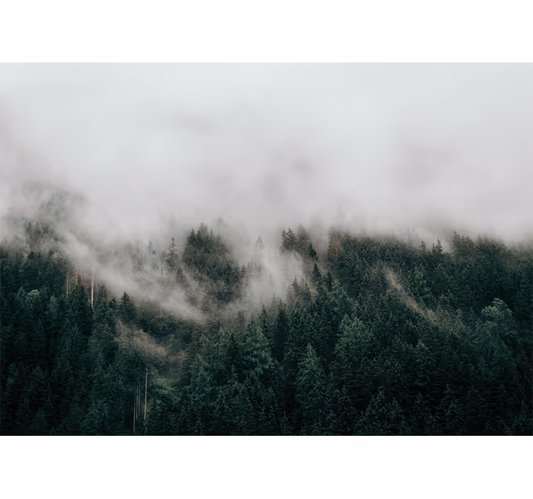 Rulou geam cameră nori de pădure cearcăne - TenStickers