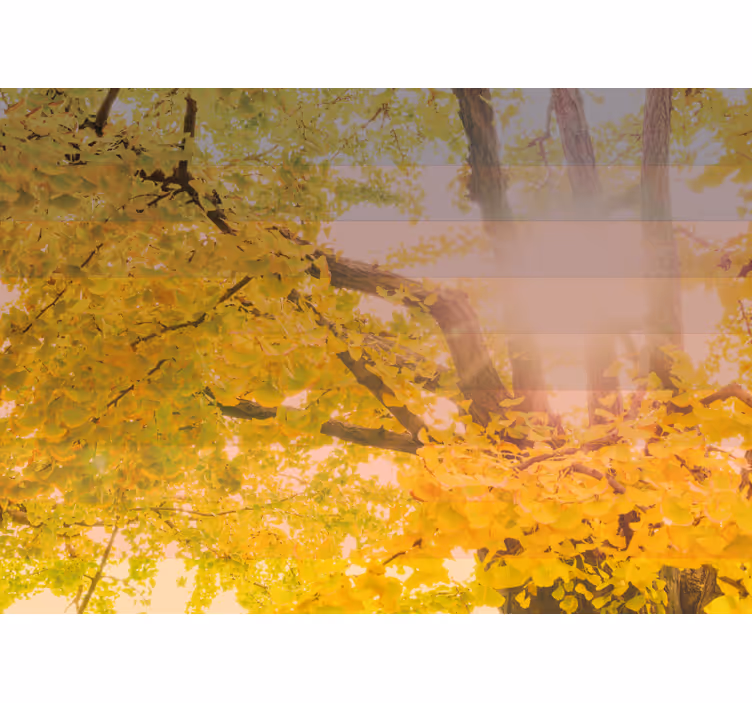 Rulou geam pentru copii peisaj autumnal strălucitor - TenStickers