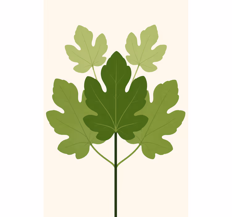 Rulou geam flori și plante smochin - TenStickers