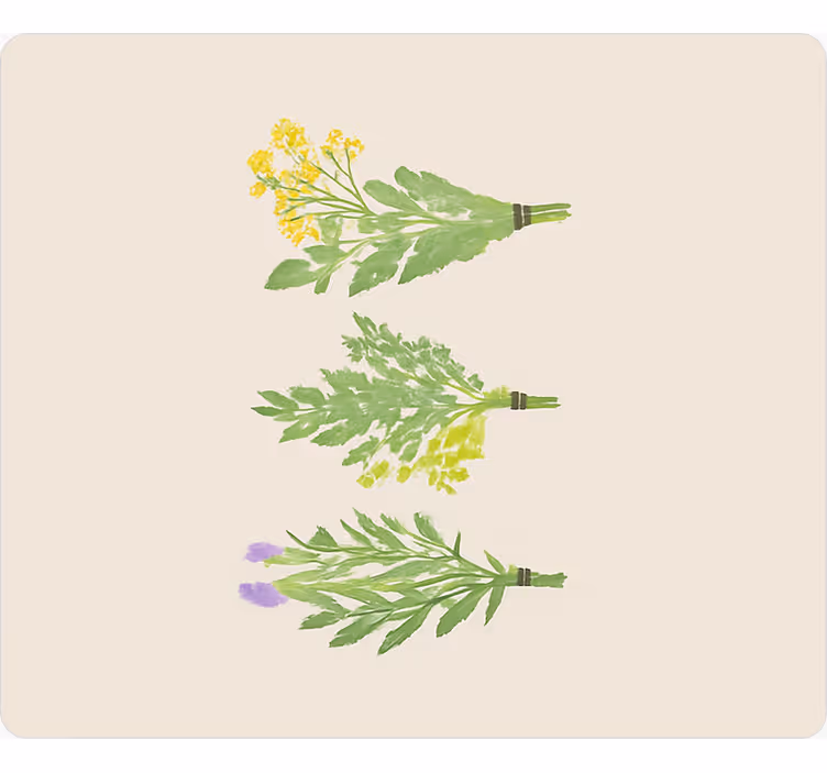 Rulou geam bucătărie flori elegante simple - TenStickers