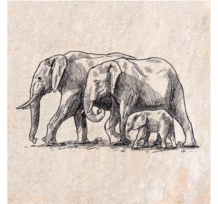 Rulou geam animale schiță de elefanți - TenStickers