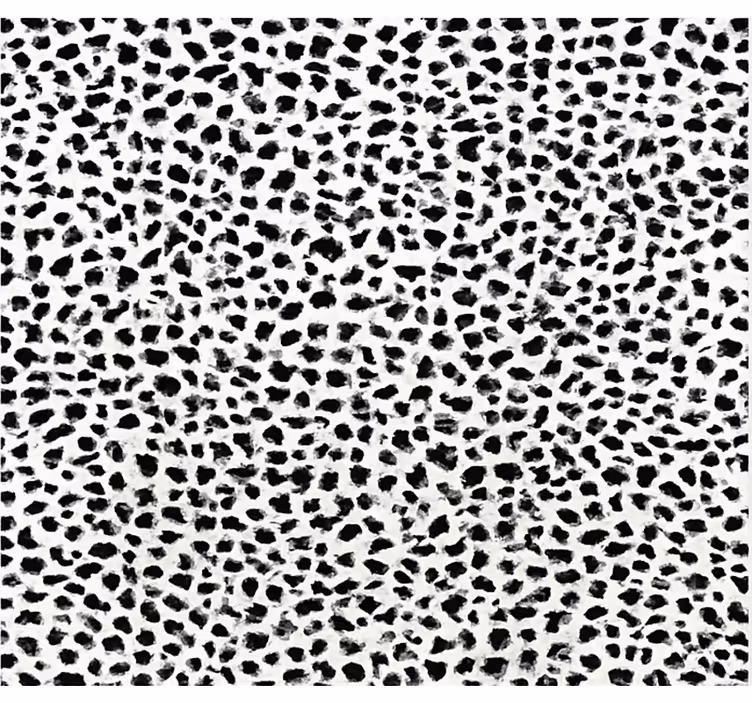 Rulou geam negru imprimeu leopard monocrom - TenStickers