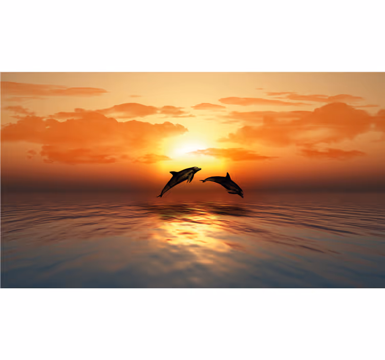 Rulou geam baie 3d delfini înotând - TenStickers