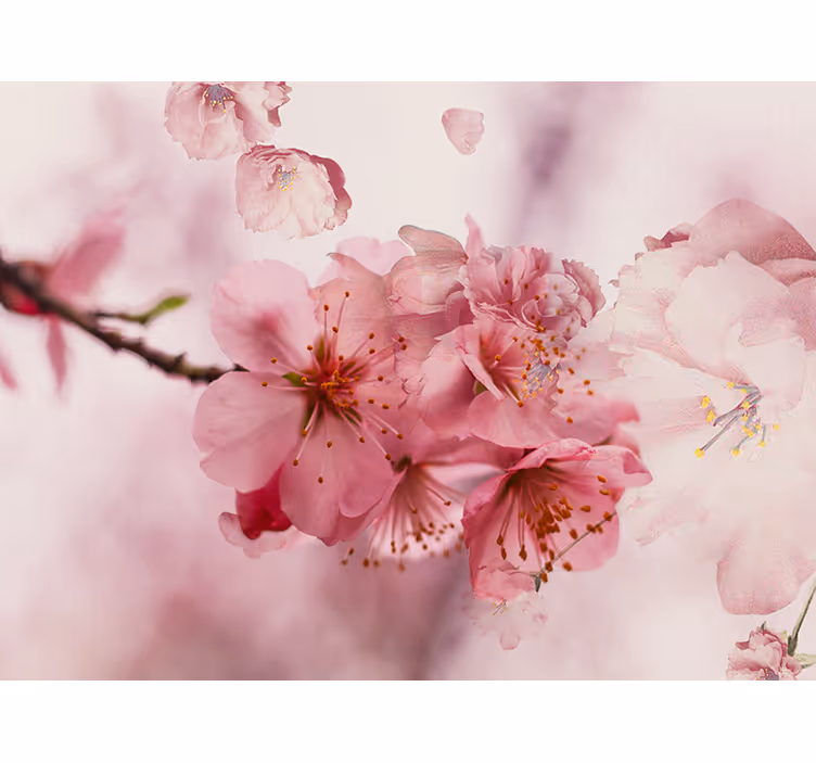 Rulou geam baie flori de baie - TenStickers