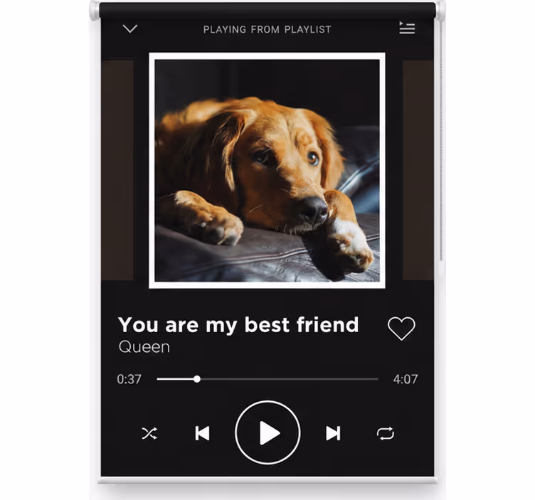 Rulou geam tineret player muzical personalizabil - TenStickers