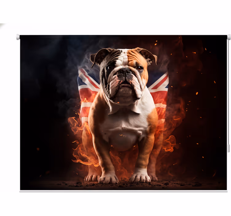 Rulou geam tineret bulldog britanic în flăcări - TenStickers