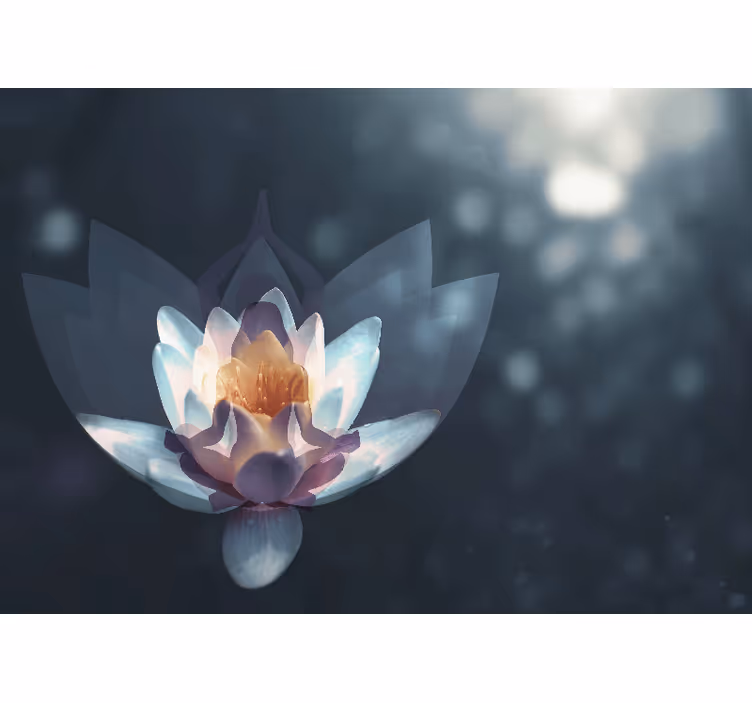 Rulou geam zen fundal de meditație relaxant - TenStickers