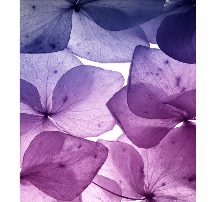 Rulou geam violet floral fericit și liniștit - TenStickers